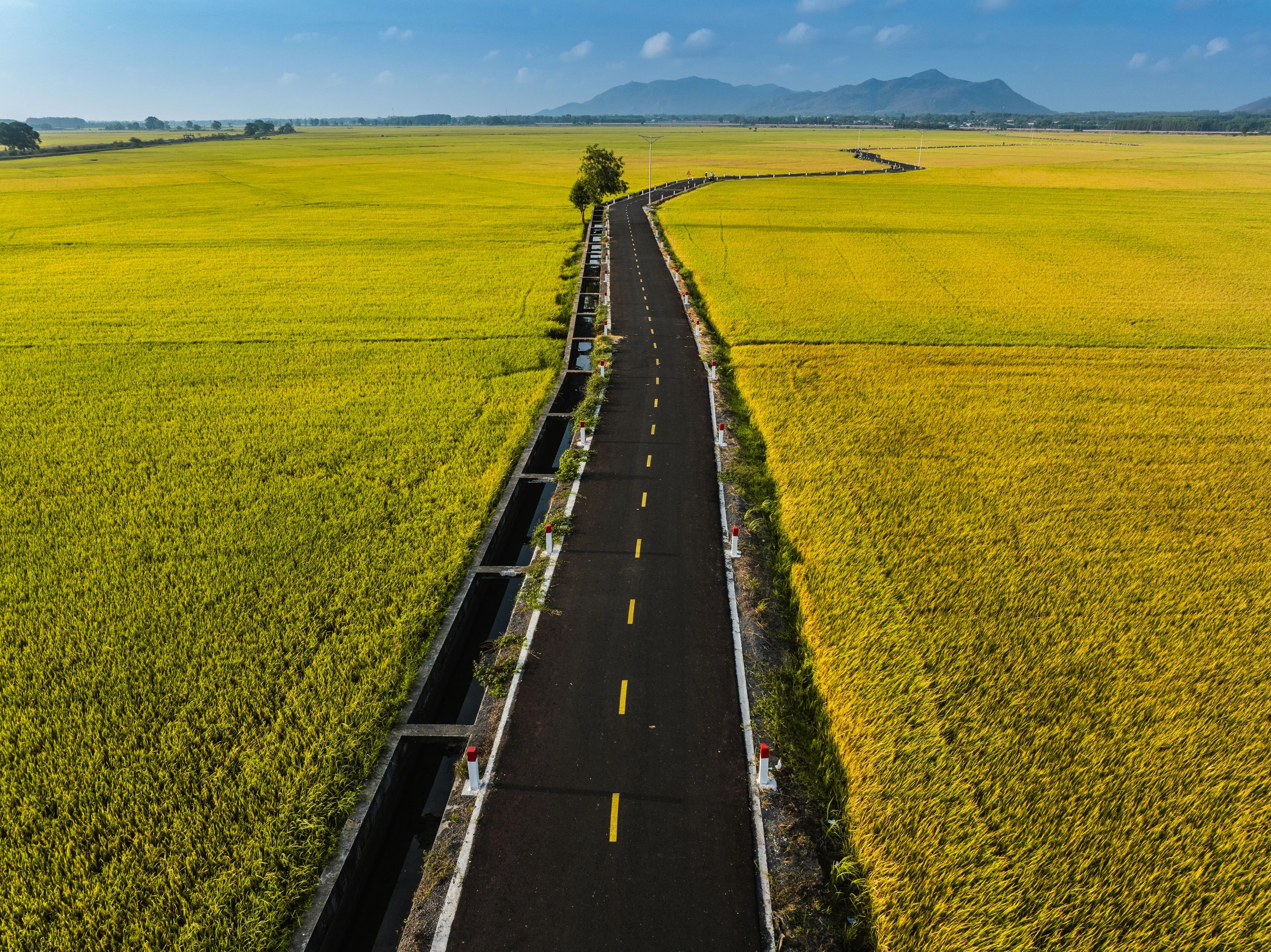 Green farmland and a winding paved road with distant hills